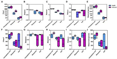 Coptischinensis Franch root rot infection disrupts microecological balance of rhizosphere soil and endophytic microbiomes